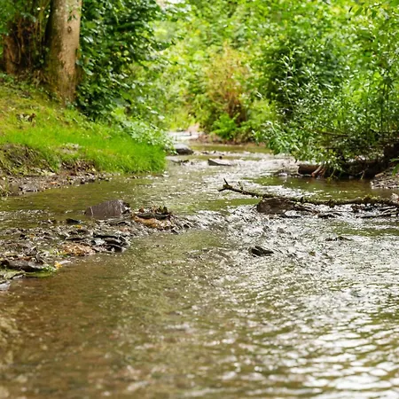 Sauwer In The Ardennes Tandel