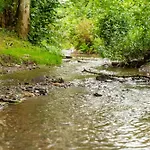 Sauwer In The Ardennes Tandel