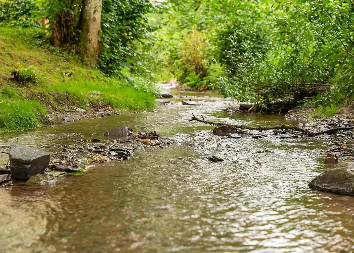 Sauwer In The Ardennes Tandel